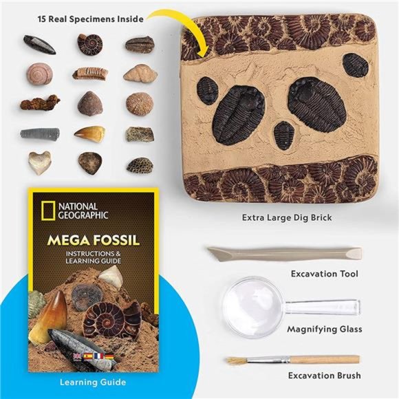 Mega Fossil Dig Kit - Excavate 15 Prehistoric Fossils Including Dinosaur Bones - Picture 6 of 6